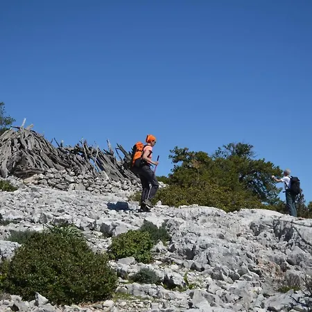 Goloritze And Breakfast 4*
