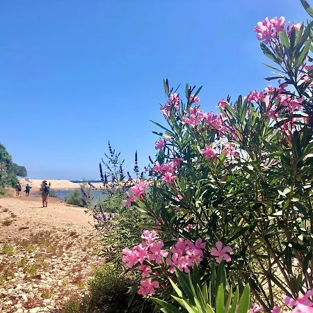 Gasthuis Goloritze And Breakfast